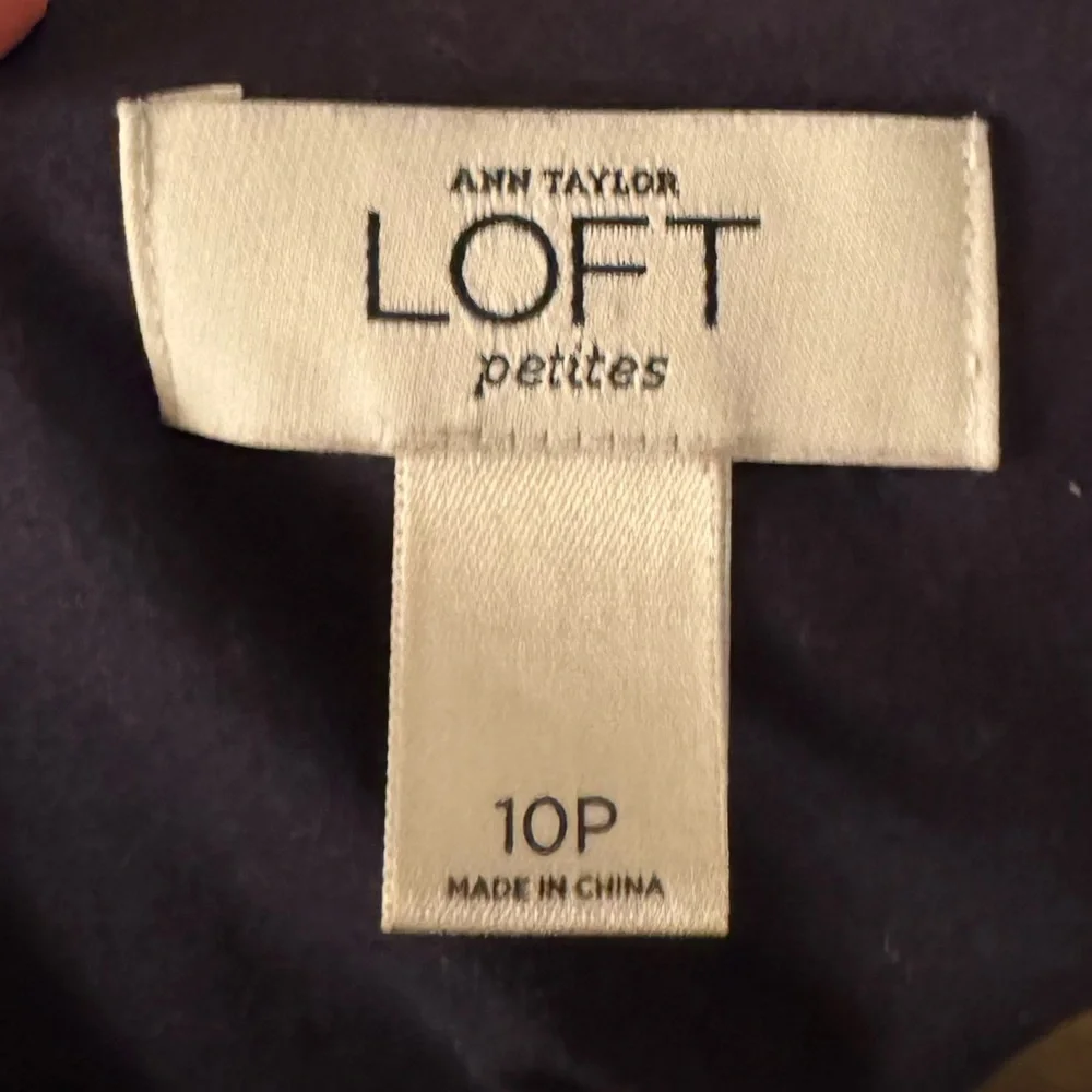 Ann Taylor Loft Petite Dress - Picture 3 of 5